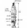 RV-21A-40-A-L,RV-21A-40-B-L,RV-21A-40-C-L,RV-21A-40-D-L,RV-21A-40-E-L,RV-21A-40-W-L,winner泄壓閥