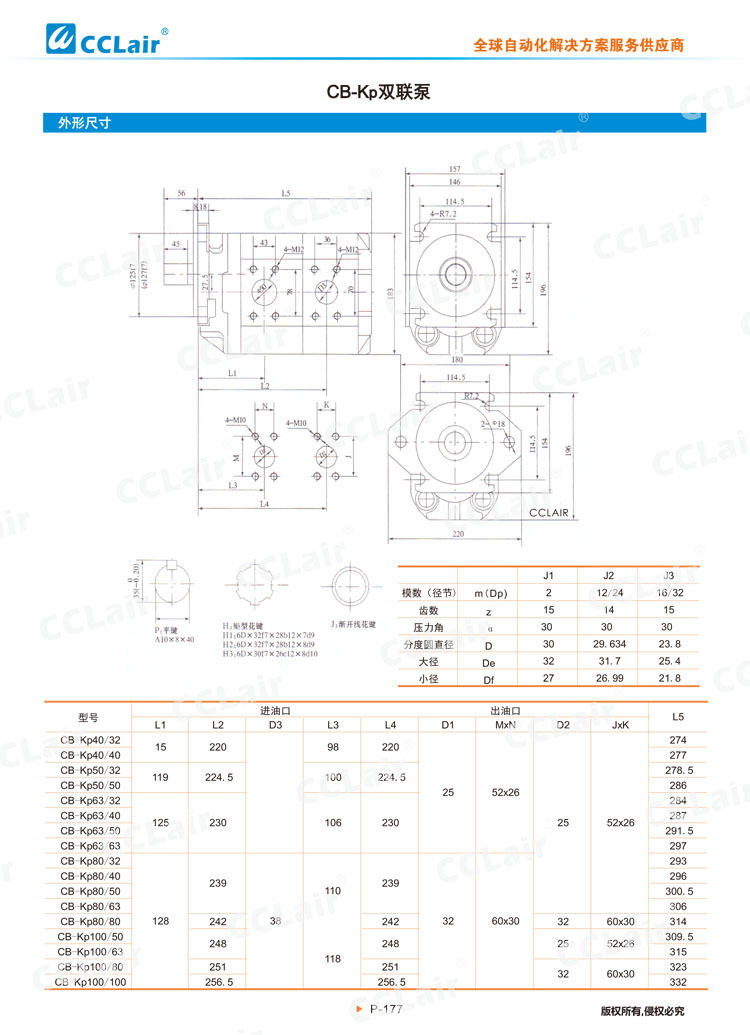 CB-Kp系列齒輪泵-4