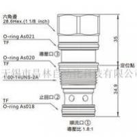 CO3A-T2A-XAN,CO3A-T2A-XCN,CO3A-T2A-XEN,CO3A-T2A-XAV,CO3A-T2A-XCV,CO3A-T2A-XEV,導(dǎo)壓關(guān)單向閥